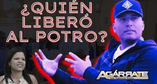 ¿QUIÉN LIBERÓ AL POTRO ÁLVAREZ?