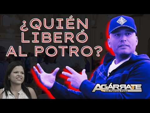 ¿QUIÉN LIBERÓ AL POTRO ÁLVAREZ?