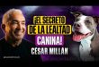 El MISTERIO del PERRO AGRESIVO por CESAR MILLÁN