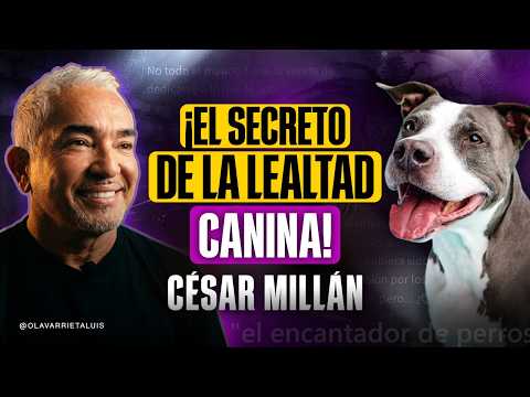El MISTERIO del PERRO AGRESIVO por CESAR MILLÁN