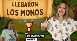 DELCY "HORRIPILIS" EN CAMPAÑA Y MADURO SIN DEFENSA