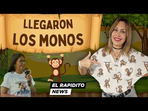 DELCY "HORRIPILIS" EN CAMPAÑA Y MADURO SIN DEFENSA