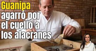 En USA me dijeron que la fecha de la elección viene pronto. Habla Guanipa