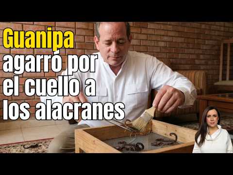 En USA me dijeron que la fecha de la elección viene pronto. Habla Guanipa